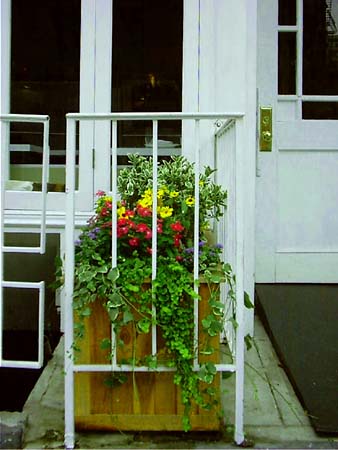 Minimum Security on Sullivan Street