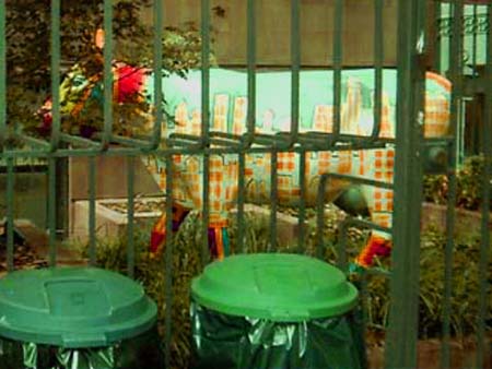 City cow takes the rap in the East Village.