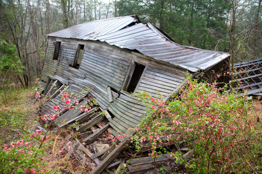 The Arnow farmhouse in 2011 surrounded by spring blooming shrubs.