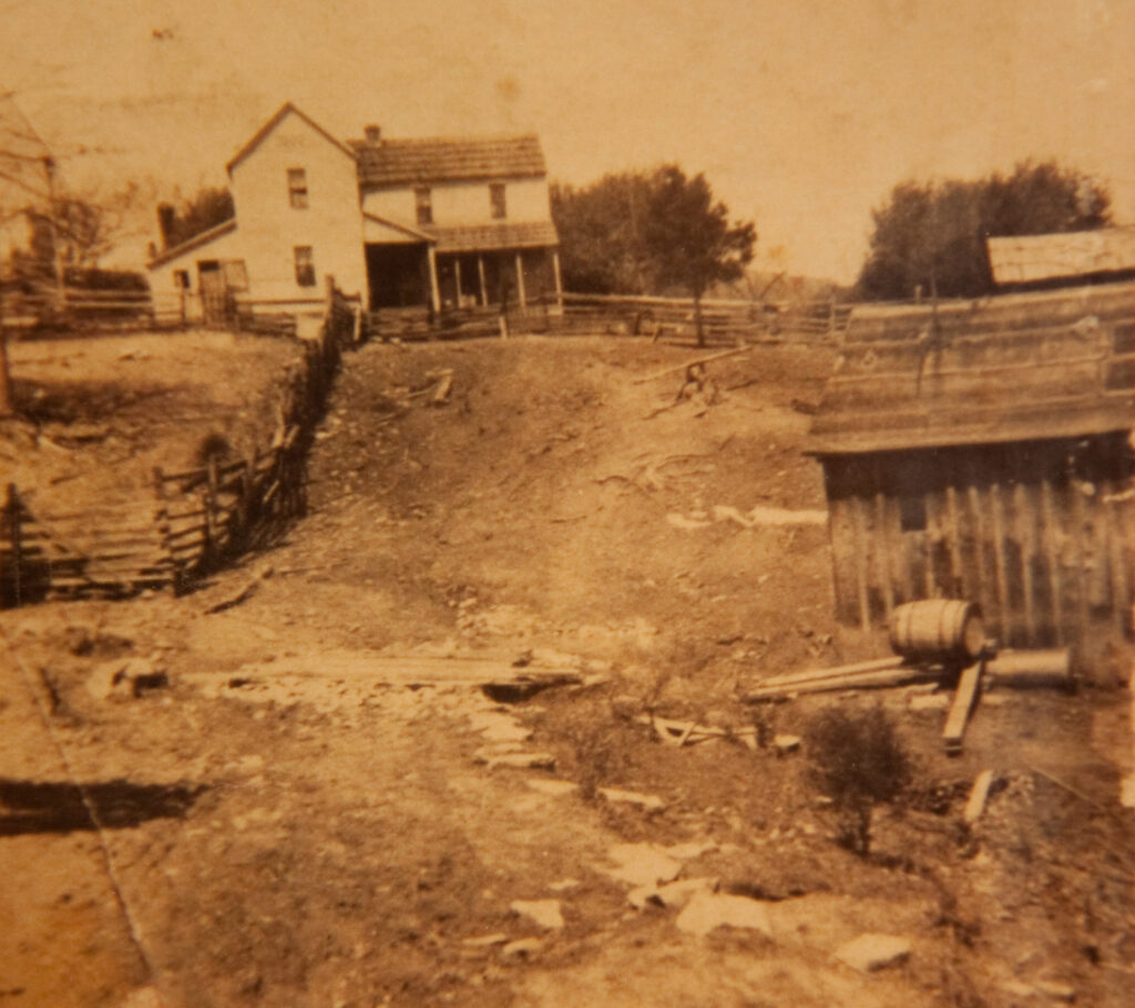 Farmhouse and land that became the Arnow farm in Pulaski County, Ky. The land was cleared but has now grown up into woodland.